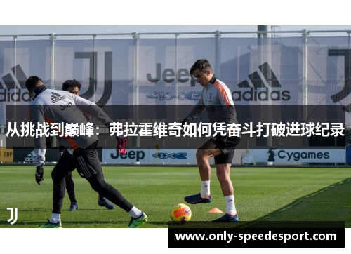 从挑战到巅峰：弗拉霍维奇如何凭奋斗打破进球纪录
