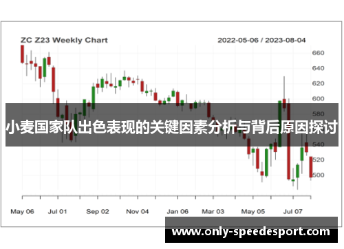小麦国家队出色表现的关键因素分析与背后原因探讨
