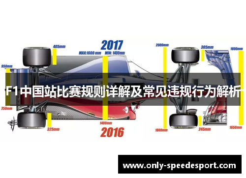 F1中国站比赛规则详解及常见违规行为解析