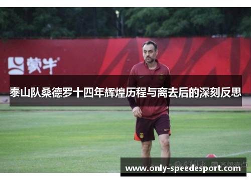 泰山队桑德罗十四年辉煌历程与离去后的深刻反思