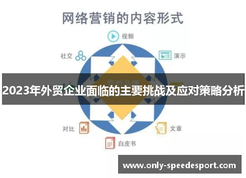 2023年外贸企业面临的主要挑战及应对策略分析