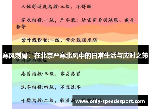 寒风刺骨：在北京严寒北风中的日常生活与应对之策