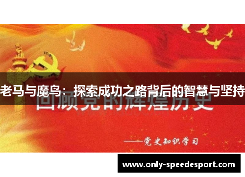 老马与魔鸟：探索成功之路背后的智慧与坚持