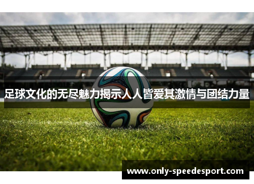 足球文化的无尽魅力揭示人人皆爱其激情与团结力量 足球文化的无尽魅力揭示人人皆爱其激情与团结力量