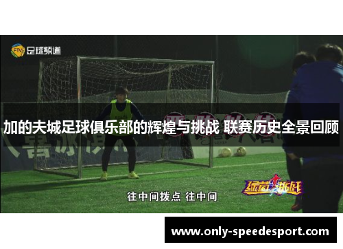 加的夫城足球俱乐部的辉煌与挑战 联赛历史全景回顾