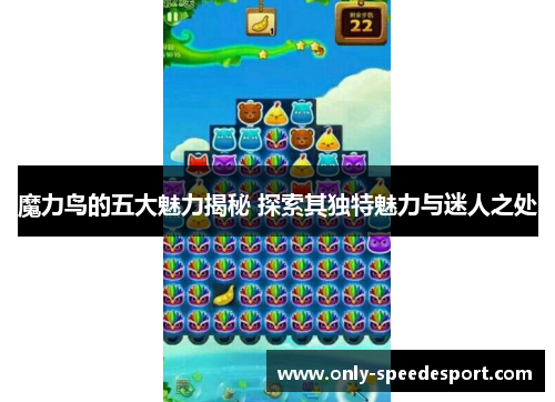 魔力鸟的五大魅力揭秘 探索其独特魅力与迷人之处