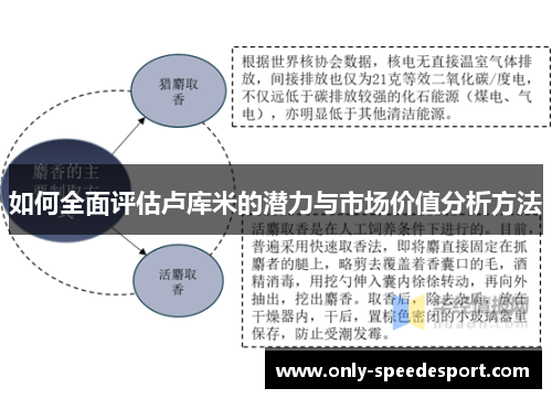 如何全面评估卢库米的潜力与市场价值分析方法